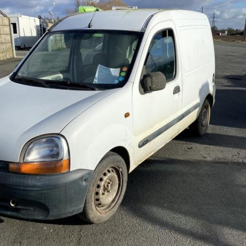 Porte de coffre gauche RENAULT KANGOO 1 Photo n°9