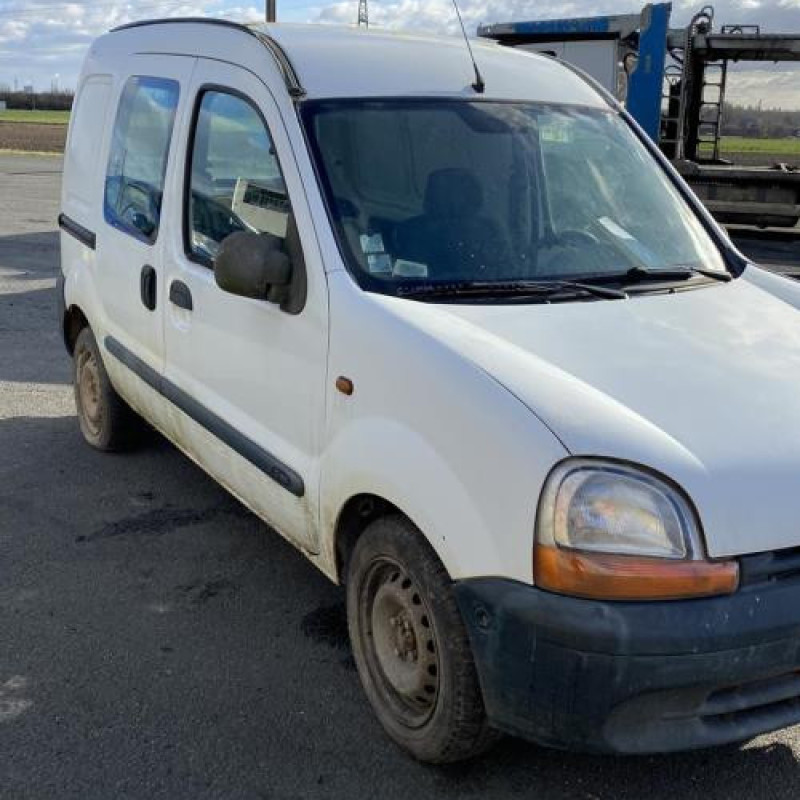 Porte de coffre gauche RENAULT KANGOO 1 Photo n°10