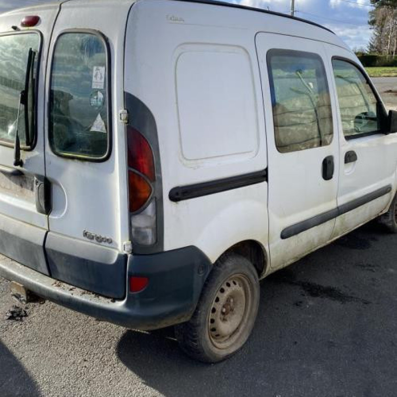 Porte de coffre gauche RENAULT KANGOO 1 Photo n°12