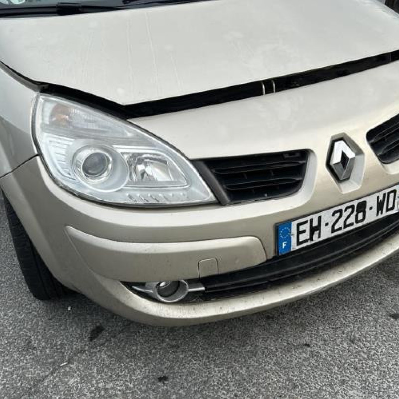 Plage arriere RENAULT SCENIC 2 Photo n°10