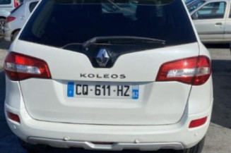 Jante RENAULT KOLEOS 1