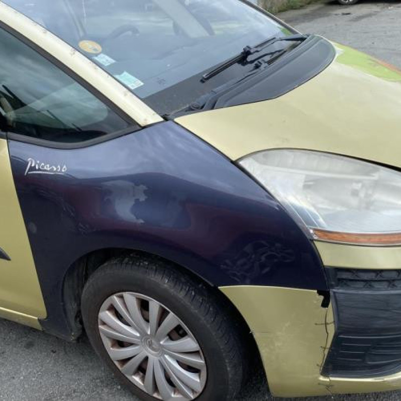 Porte arriere droit CITROEN C4 PICASSO 1 Photo n°19