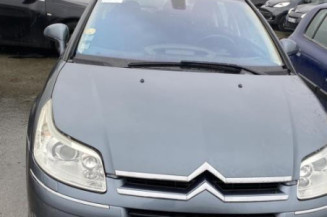 Porte arriere droit CITROEN C4 1