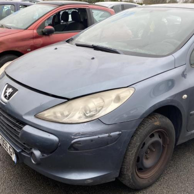 Custode arriere droit PEUGEOT 307 Photo n°10