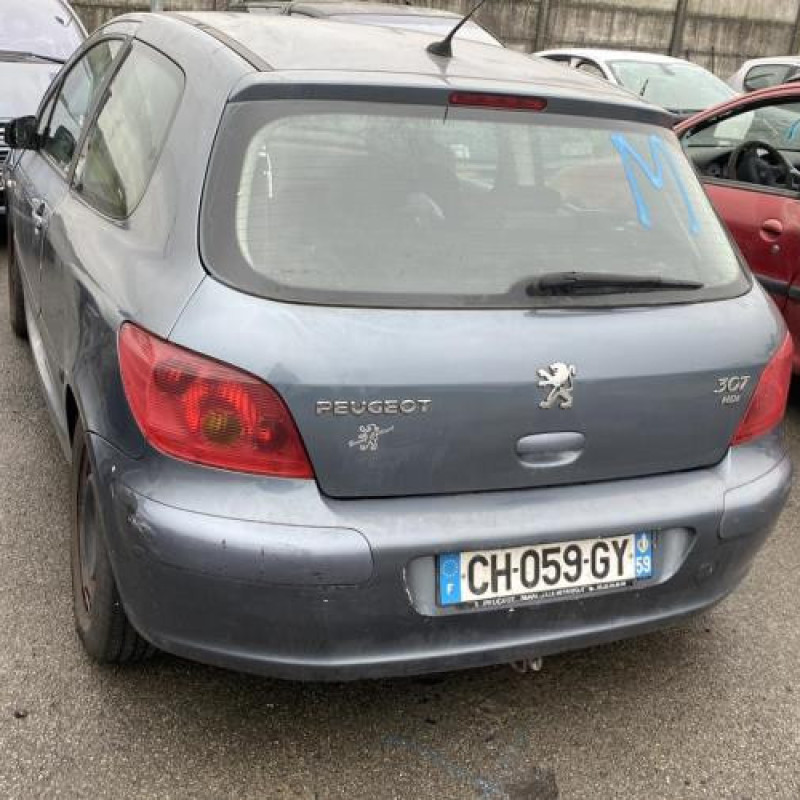 Custode arriere droit PEUGEOT 307 Photo n°13