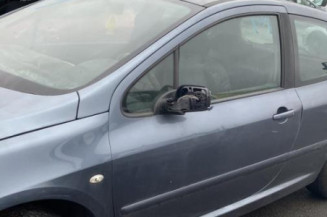 Antenne PEUGEOT 307