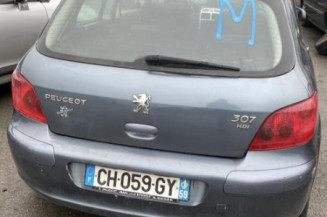 Cric PEUGEOT 307