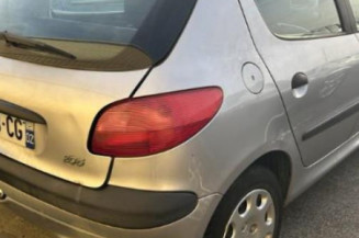 Porte arriere gauche PEUGEOT 206