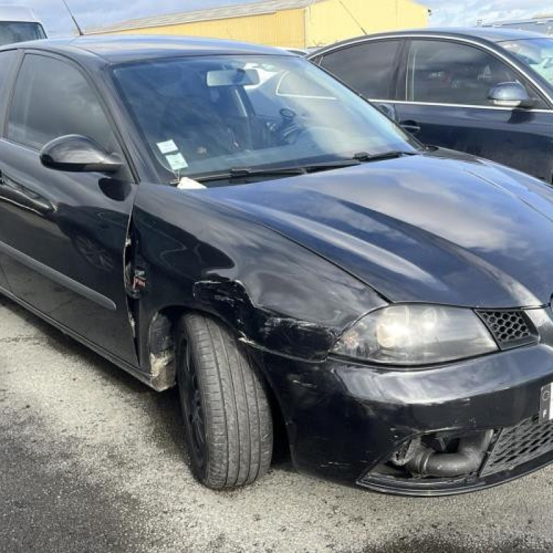 Custode arriere gauche SEAT IBIZA 3 Photo n°9