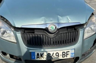 Porte arriere droit SKODA FABIA 2