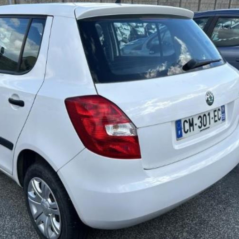 Vitre arriere droit SKODA FABIA 2 Photo n°13