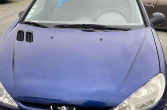 Porte avant droit PEUGEOT 206