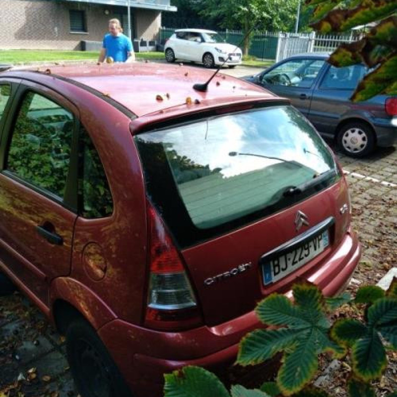 Porte avant droit CITROEN C3 1 Photo n°11