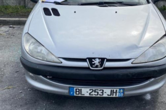 Debitmetre PEUGEOT 206