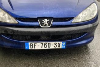 Capot PEUGEOT 206