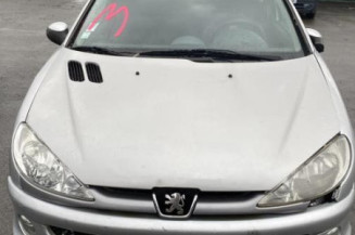 Boitier BSI PEUGEOT 206