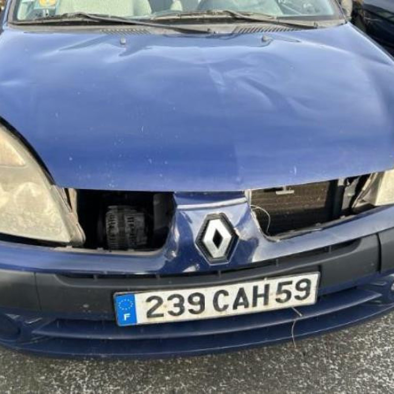 Porte avant gauche RENAULT CLIO 2 Photo n°9