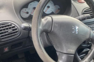 Porte avant droit PEUGEOT 206