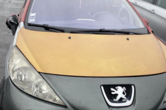 Porte avant droit PEUGEOT 207