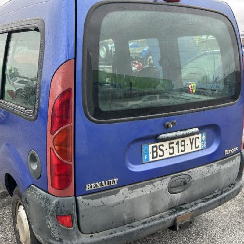 Porte avant gauche RENAULT KANGOO 1 Photo n°12