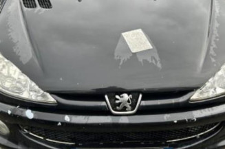 Debitmetre PEUGEOT 206