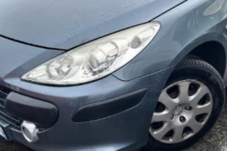 Porte avant gauche PEUGEOT 307