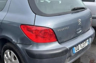 Porte avant gauche PEUGEOT 307