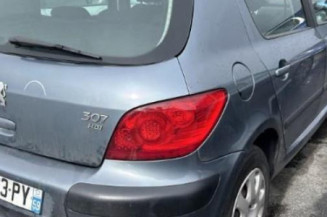 Porte avant gauche PEUGEOT 307