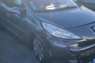 Porte arriere gauche PEUGEOT 207