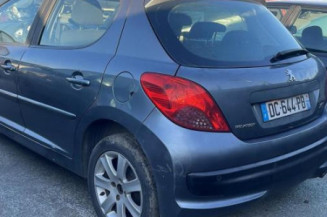 Porte arriere gauche PEUGEOT 207