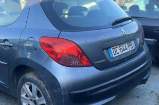 Porte arriere gauche PEUGEOT 207