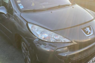 Porte arriere gauche PEUGEOT 207