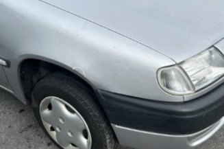 Porte arriere gauche CITROEN SAXO