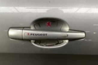 Porte arriere droit PEUGEOT 308 1