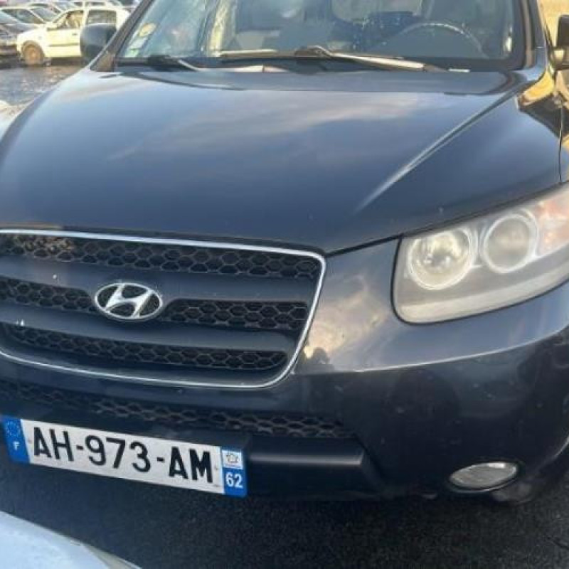 Custode arriere droit (porte) HYUNDAI SANTA FE 2 Photo n°10