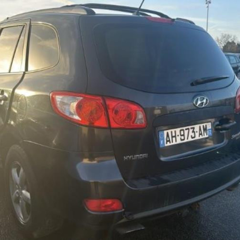 Porte arriere gauche HYUNDAI SANTA FE 2 Photo n°16