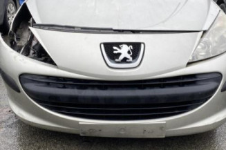 Bouton de warning PEUGEOT 207