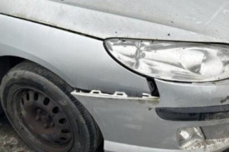 Vitre arriere gauche PEUGEOT 407