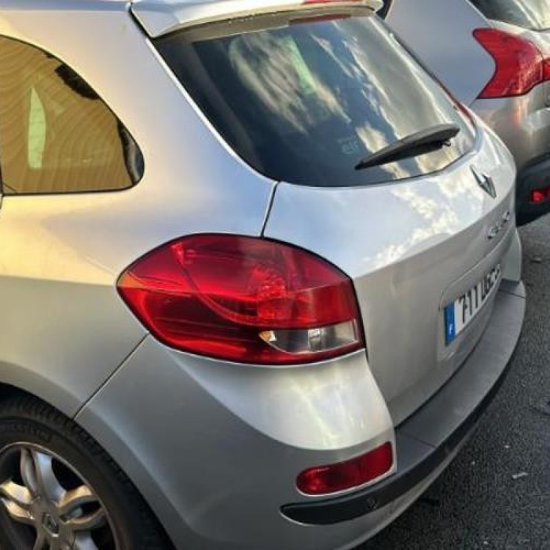 Porte arriere droit RENAULT CLIO 3 Photo n°13