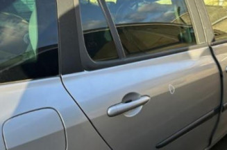 Porte arriere gauche RENAULT CLIO 3