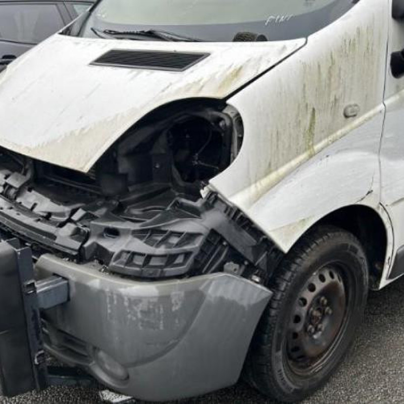 Eclairage de plaque RENAULT TRAFIC 2 Photo n°6