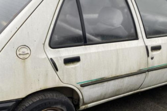 Custode arriere gauche (porte) PEUGEOT 205