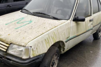 Porte arriere droit PEUGEOT 205