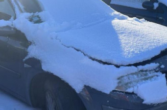 Porte avant gauche RENAULT MEGANE 2