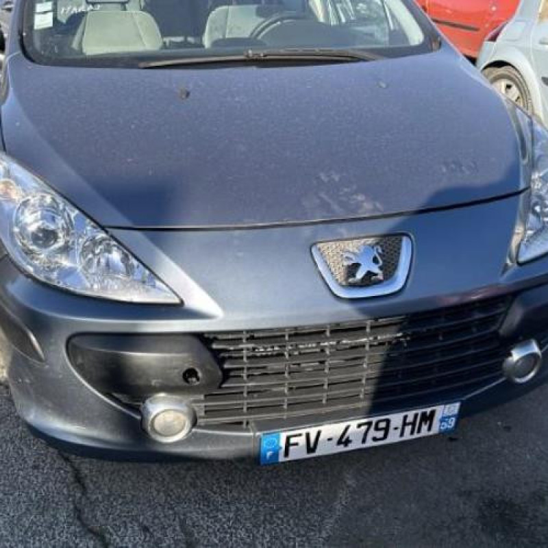 Attache ceinture arriere gauche PEUGEOT 307 Photo n°6