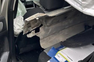 Arret de porte arriere gauche PEUGEOT 307