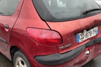 Porte avant gauche PEUGEOT 206