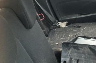 Porte arriere gauche RENAULT CLIO 4