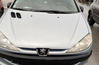 Retroviseur gauche PEUGEOT 206