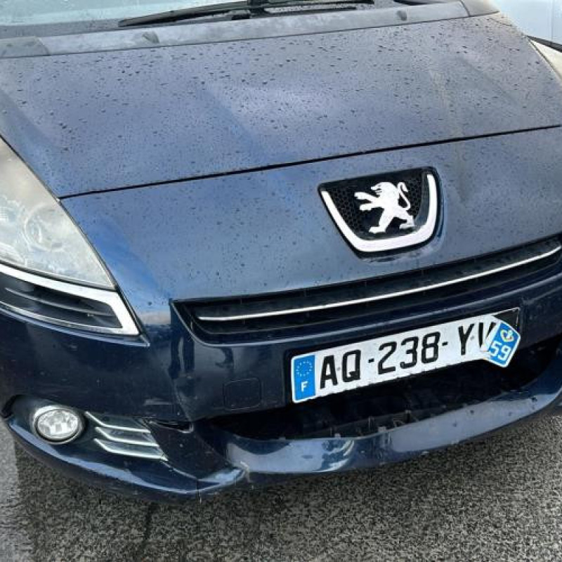 Bouton de warning PEUGEOT 5008 1 Photo n°6